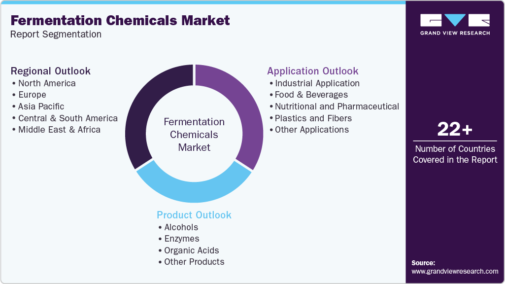 Global Fermentation Chemicals Market Report Segmentation Global Fermentation Chemicals Market Report Segmentation