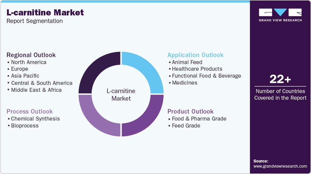 Global L-carnitine Market Report Segmentation Global L-carnitine Market Report Segmentation
