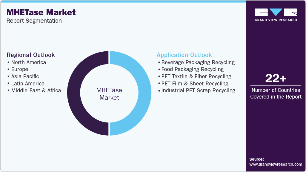 Global MHETase Market Report Segmentation Global MHETase Market Report Segmentation