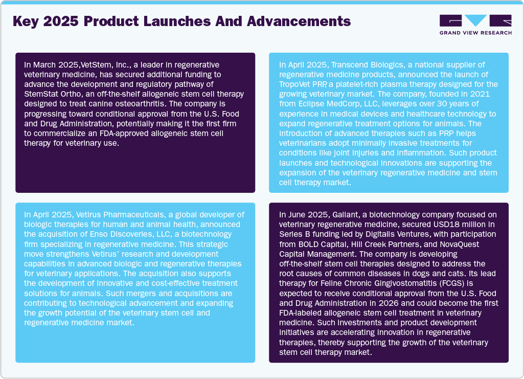 Key 2025 Product Launches and Advancements Key 2025 Product Launches and Advancements