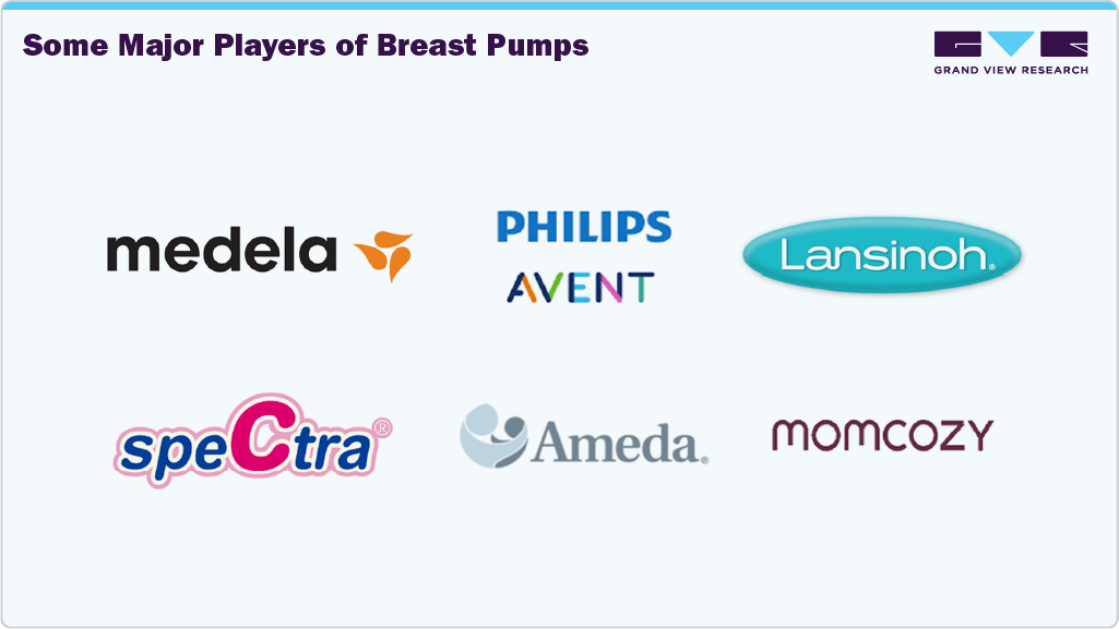 Some Major Players of Brest Pumps